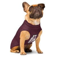 Sweat Griffins tricoté pour animaux de compagnie